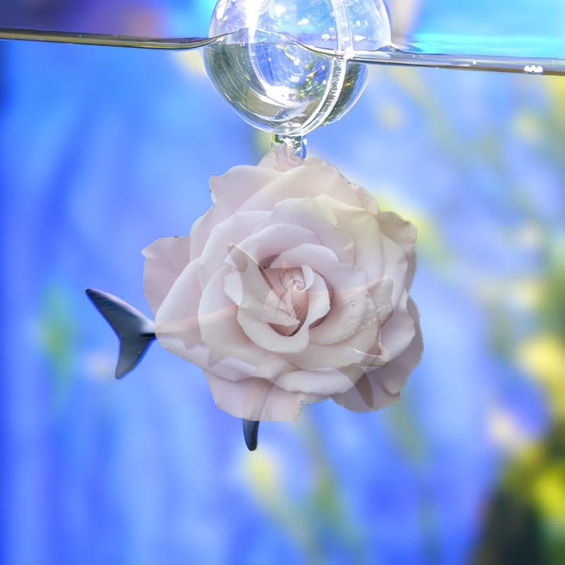 Aquarium Fish Popular - Popular Floating Shark Underwater Landscape Decor