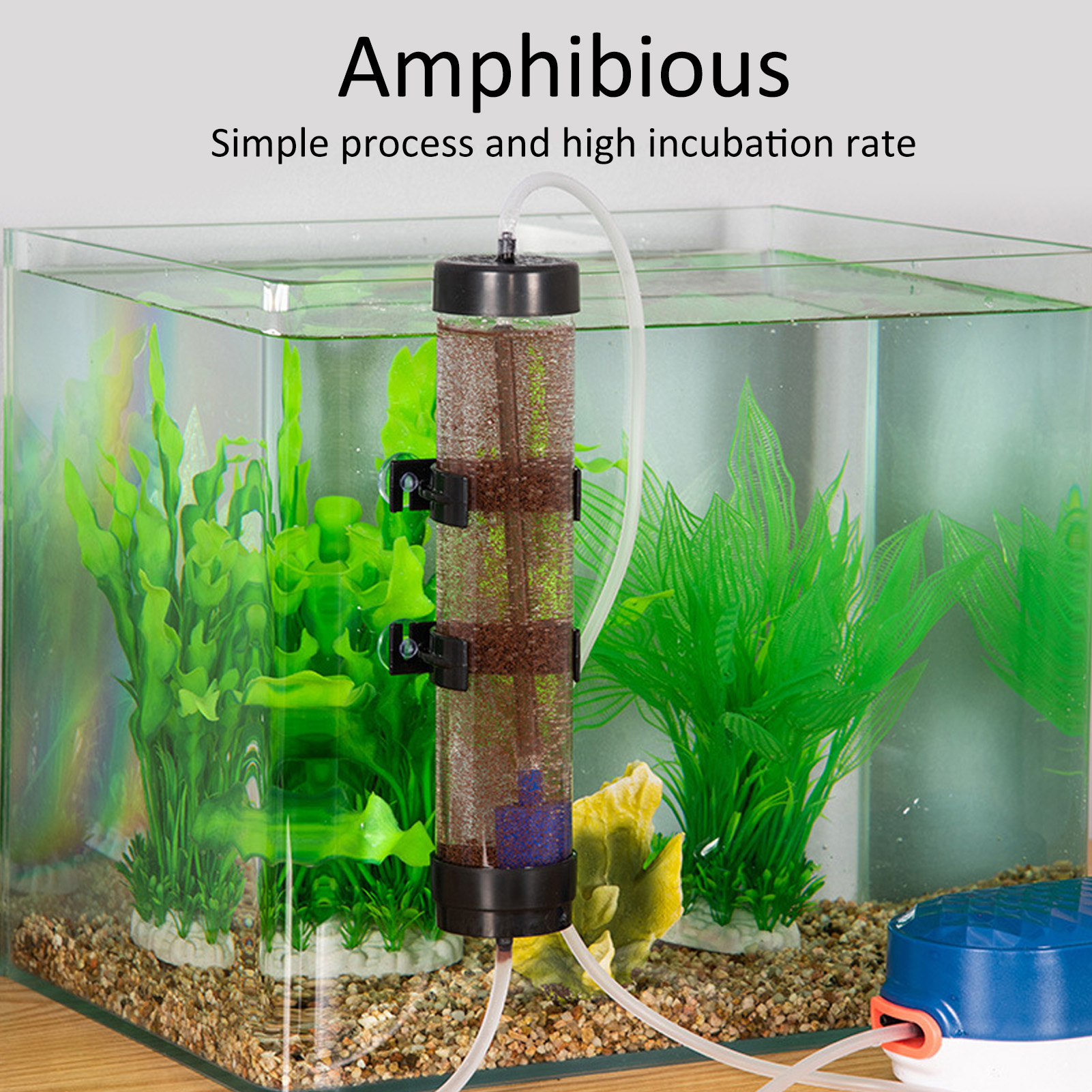 Aquarium Fish Eggs - Fish Hatch Tool Artemia Eggs Hatchery