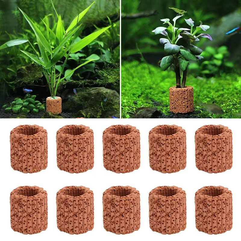 Aquarium Fish Cichlid - Aquatic Plant Fixed Ring for Aquarium