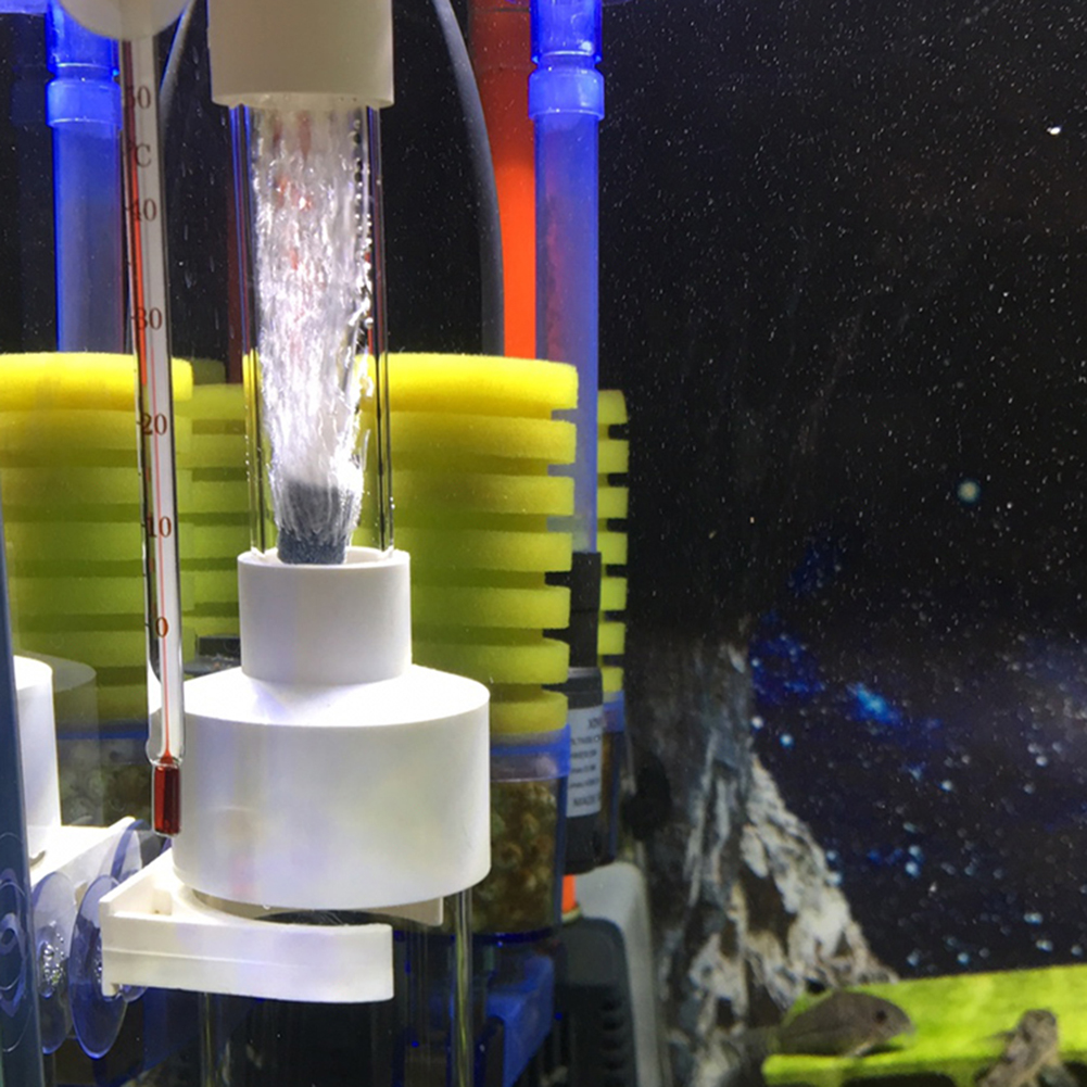 Aquarium Fish Eggs - 40mm Incubator Fish Incubator Hatchery Aquarium