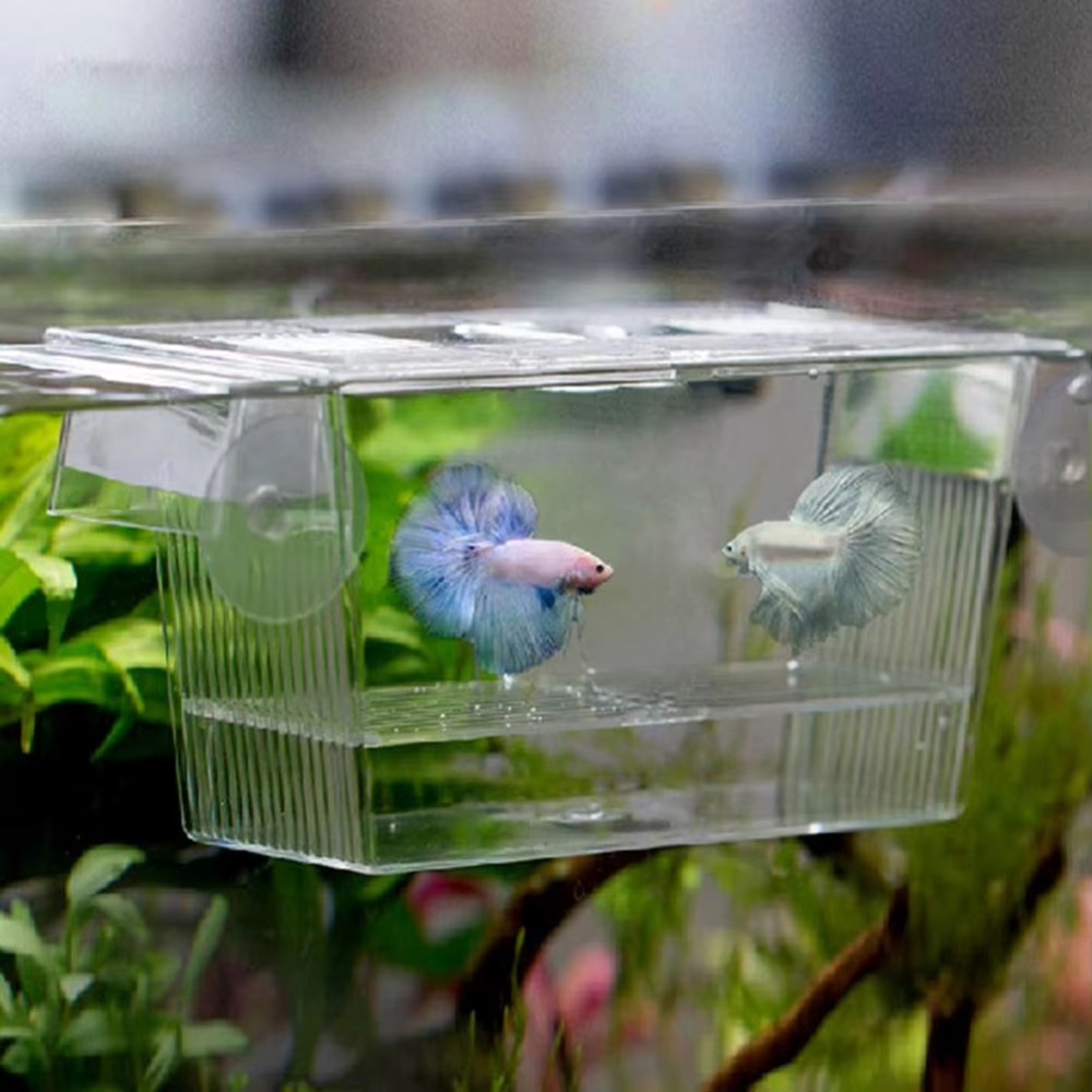 Aquarium Fish Reproduction - Creative Acrylic Fish Tank Breeding Aquarium