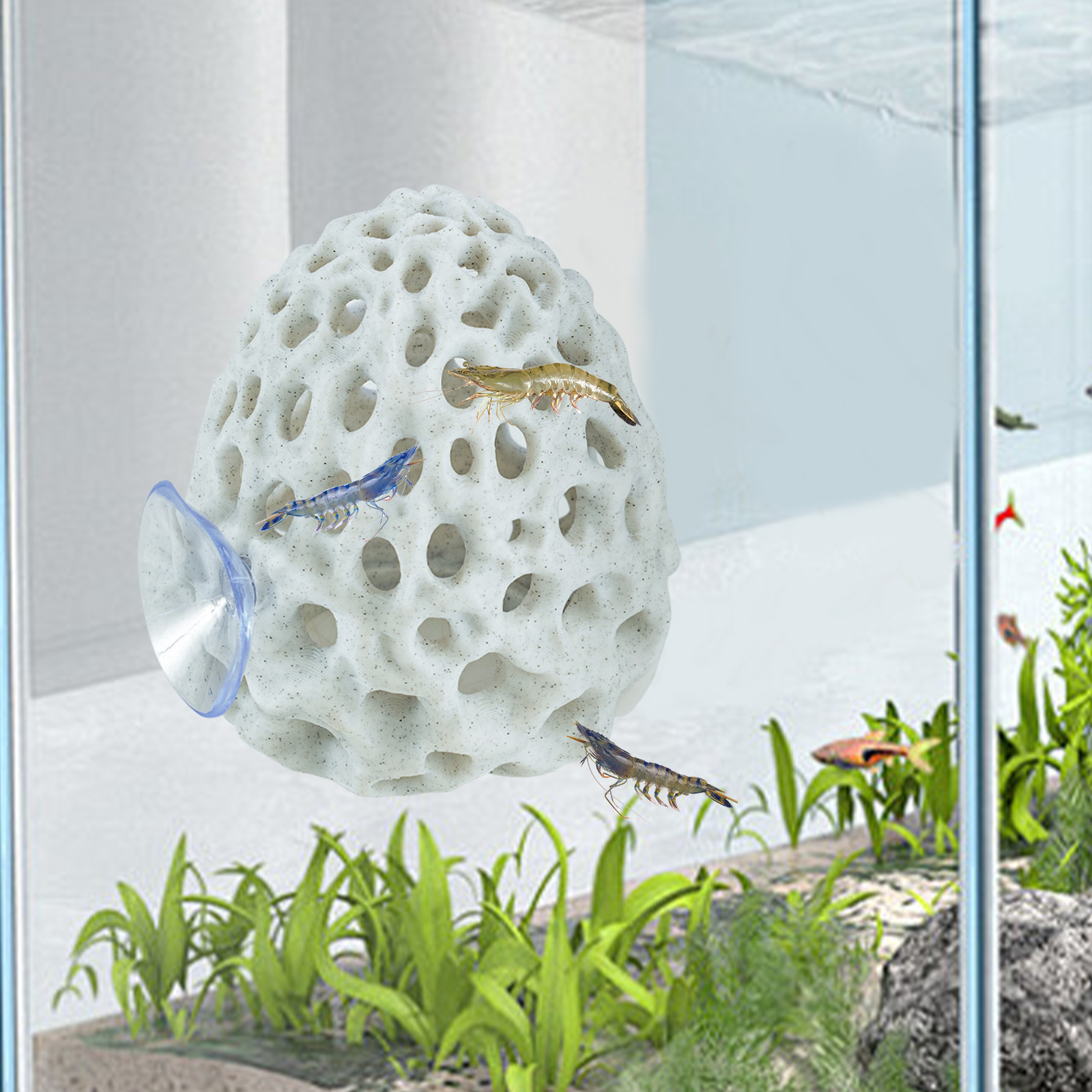 Aquarium Fish Hide - Shrimp Hides for Aquarium, Betta Fish
