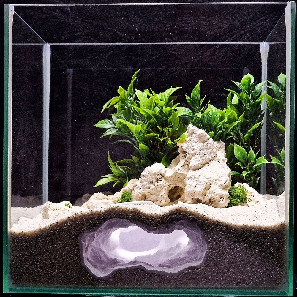 Aquarium Fish Reproduction - Highly Simulated Aquarium Fish Tank Nature