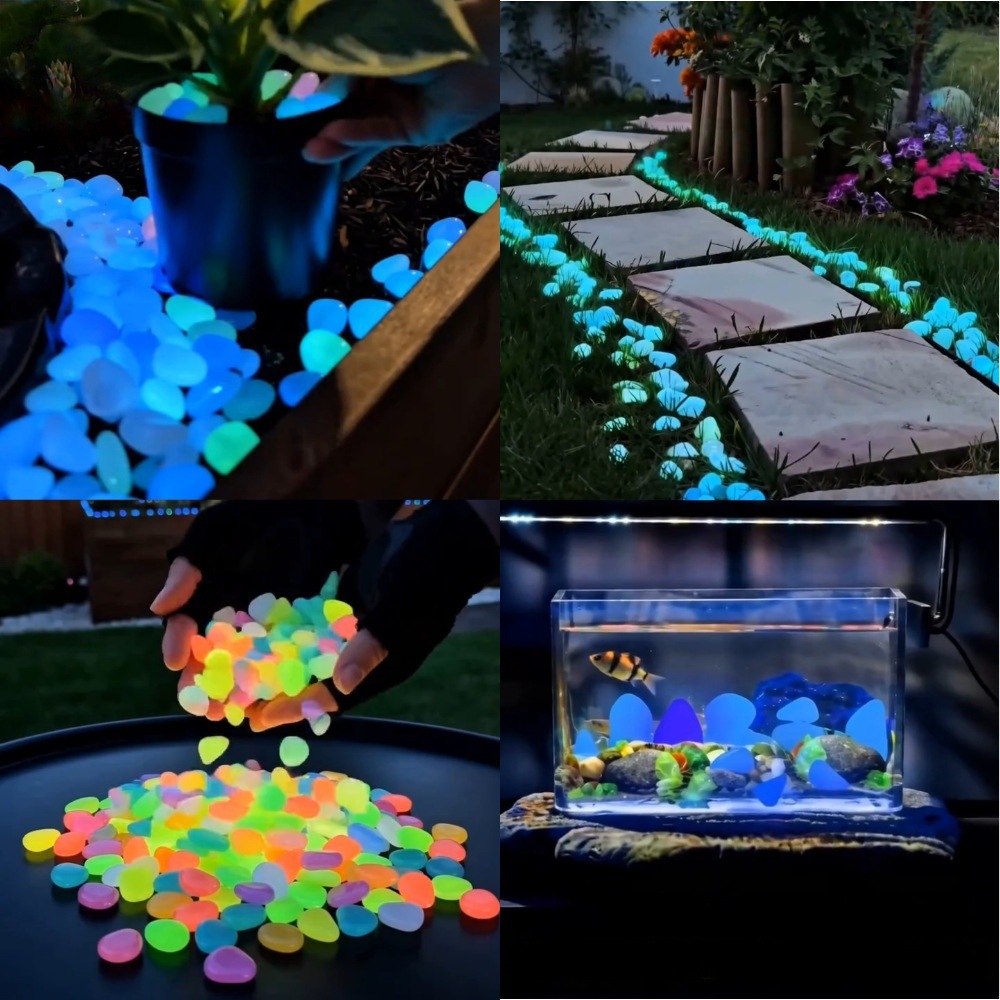 Aquarium Fish Colorful - Colorful Glow In The Dark Luminous