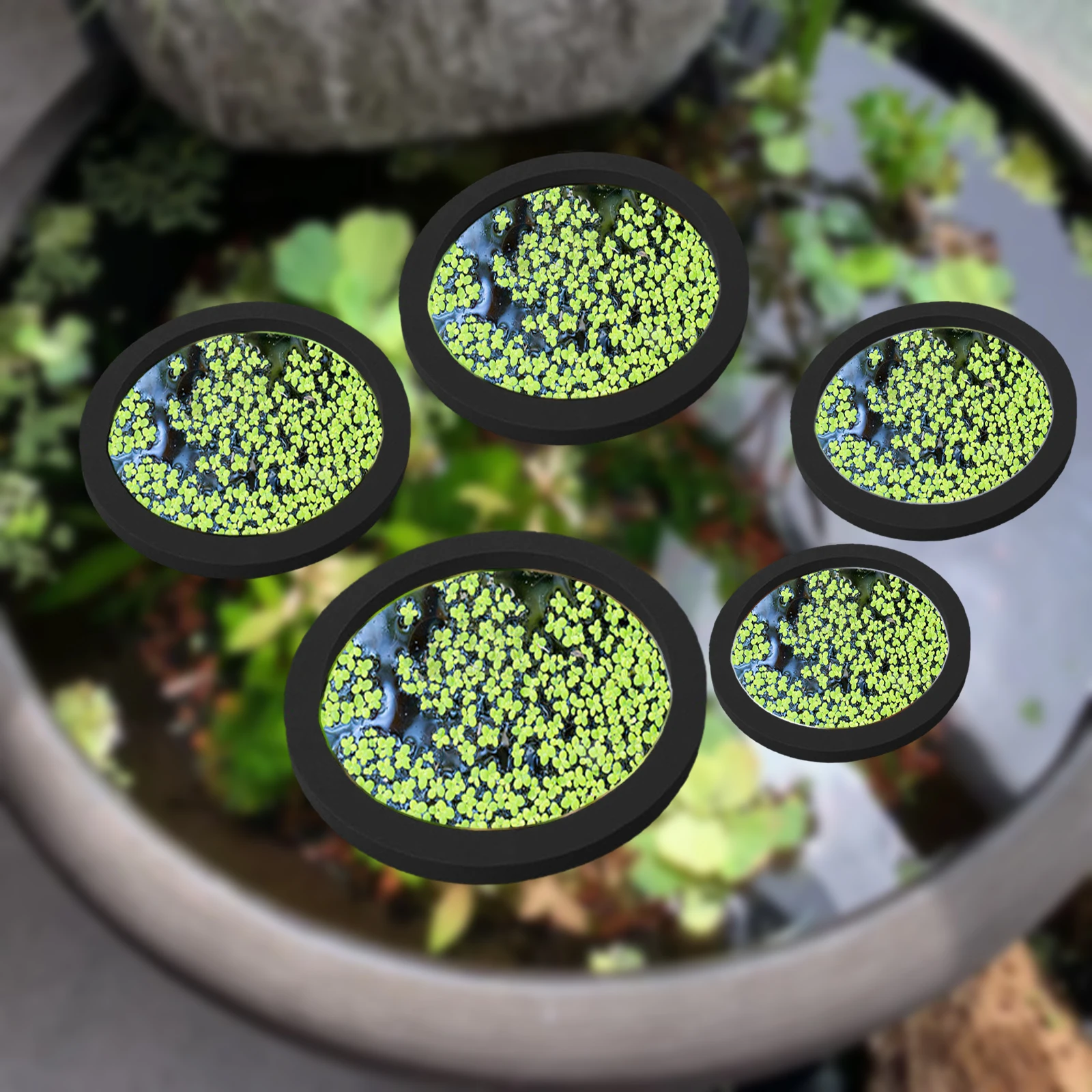 Aquarium Fish In Pond - 5Pcs EVA Fish Feeding Ring Aquarium