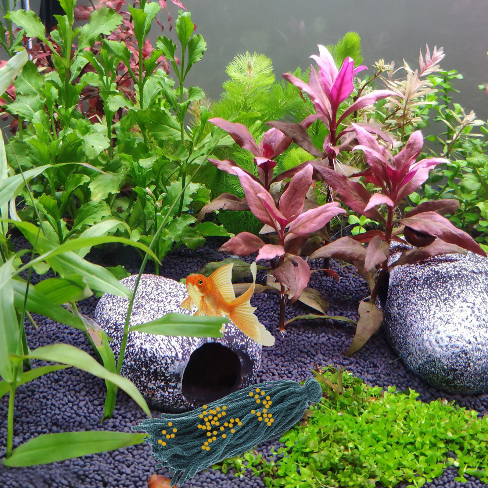 Aquarium Fish Reproduction - 5 Pcs Fish Reproduction Mops Floating