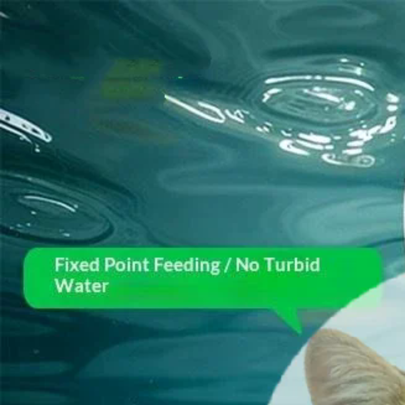 Aquarium Fish Popular - Popular Precise Fish Pacifier Feeder Fixed