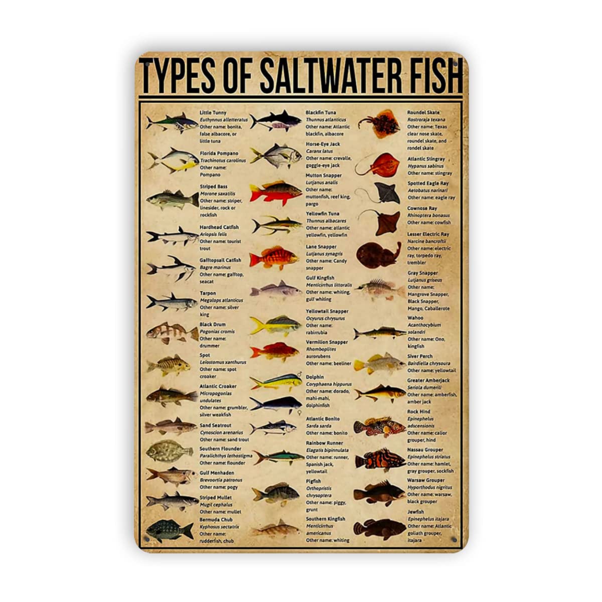 Aquarium Fish Popular - Metal Tin Signs Types Of Saltwater