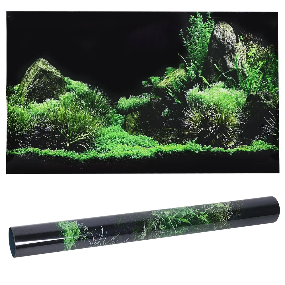 Background for Aquarium 3d Sti - Aquarium Fish Cichlid ulasan dan harga