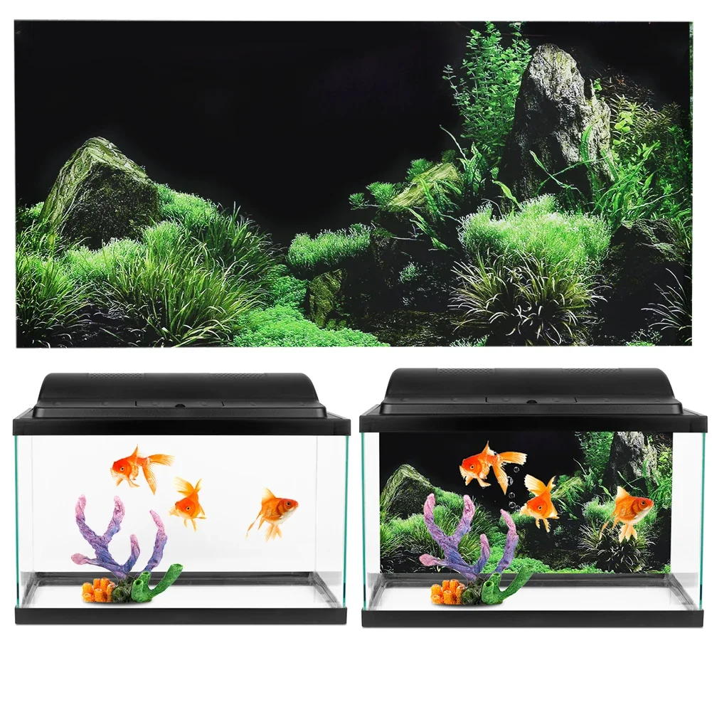 Background for Aquarium 3d Sti - Aquarium Fish Cichlid ulasan dan harga