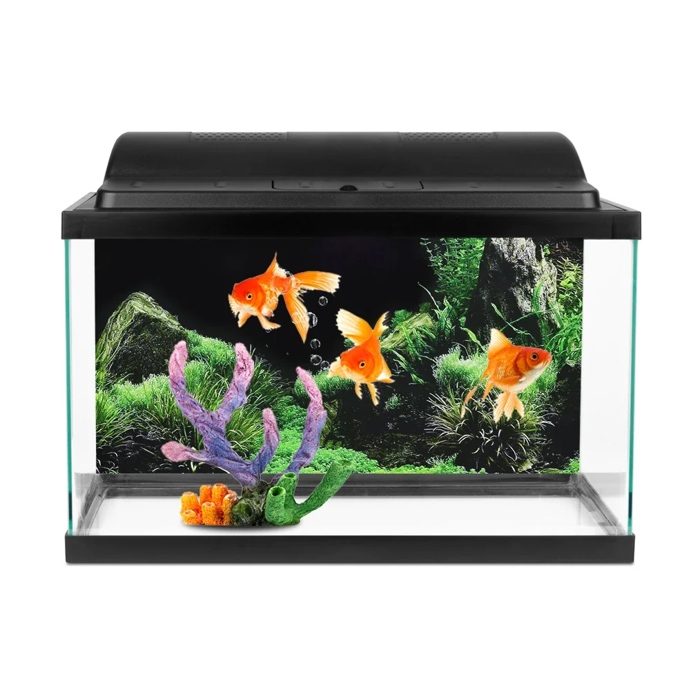 Background for Aquarium 3d Sti - Aquarium Fish Cichlid ulasan dan harga