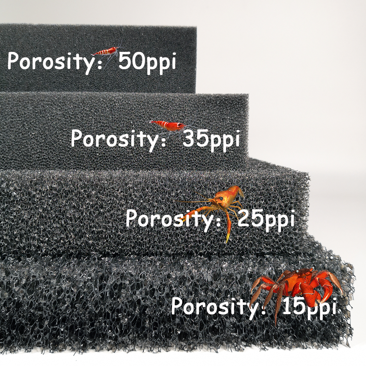 aquarium accessories Practical - Aquarium Fish Cichlid ulasan dan harga