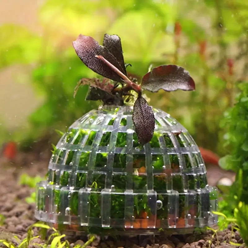 Plastic Aquarium Moss Ball Fil - Aquarium Fish Cichlid ulasan dan harga