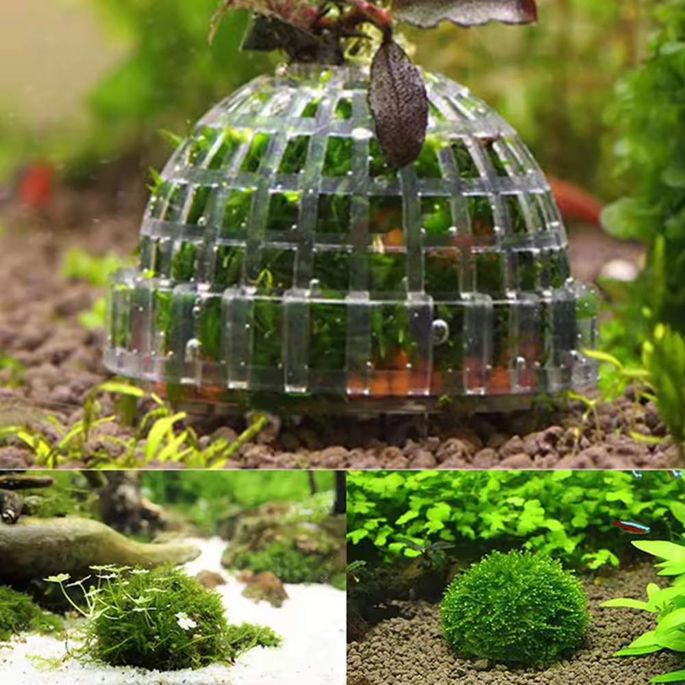 Plastic Aquarium Moss Ball Fil - Aquarium Fish Cichlid ulasan dan harga