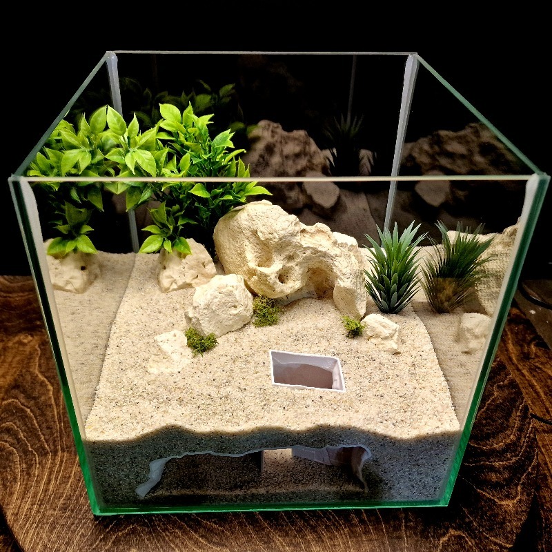 3D Printed Secret House Fish T - Aquarium Fish Cichlid ulasan dan harga