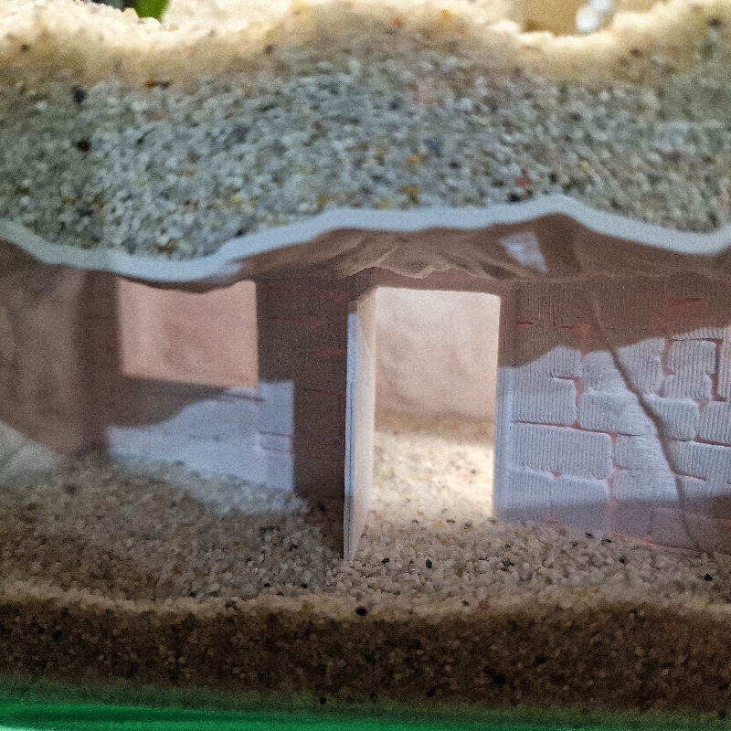 3D Printed Secret House Fish T - Aquarium Fish Cichlid ulasan dan harga