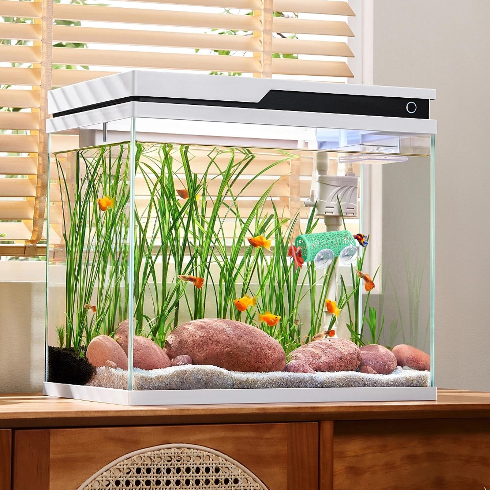 Betta Habitat Resting Shelter  - Aquarium Fish Cichlid ulasan dan harga
