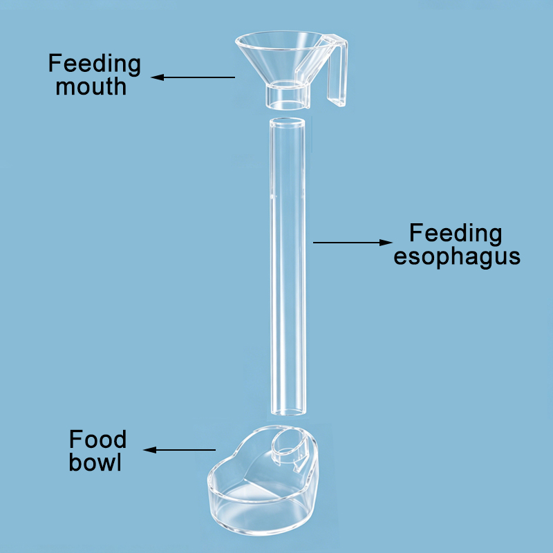 Acrylic Aquarium Fish Feeder T - Aquarium Fish Big ulasan dan harga