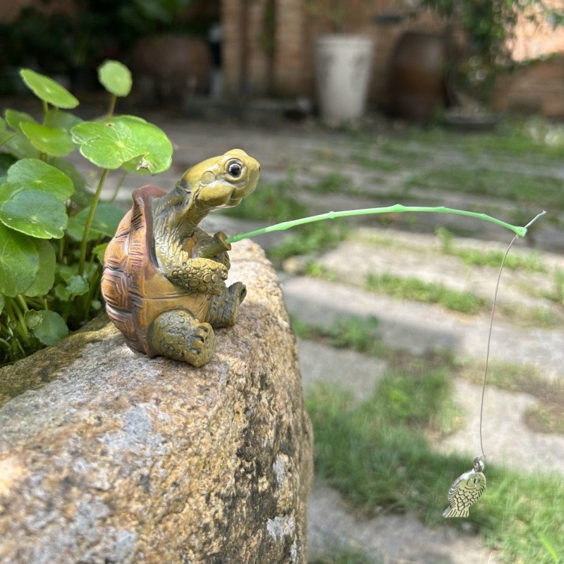 Turtle fishing fish tank aquar - Aquarium Fish In Pond ulasan dan harga