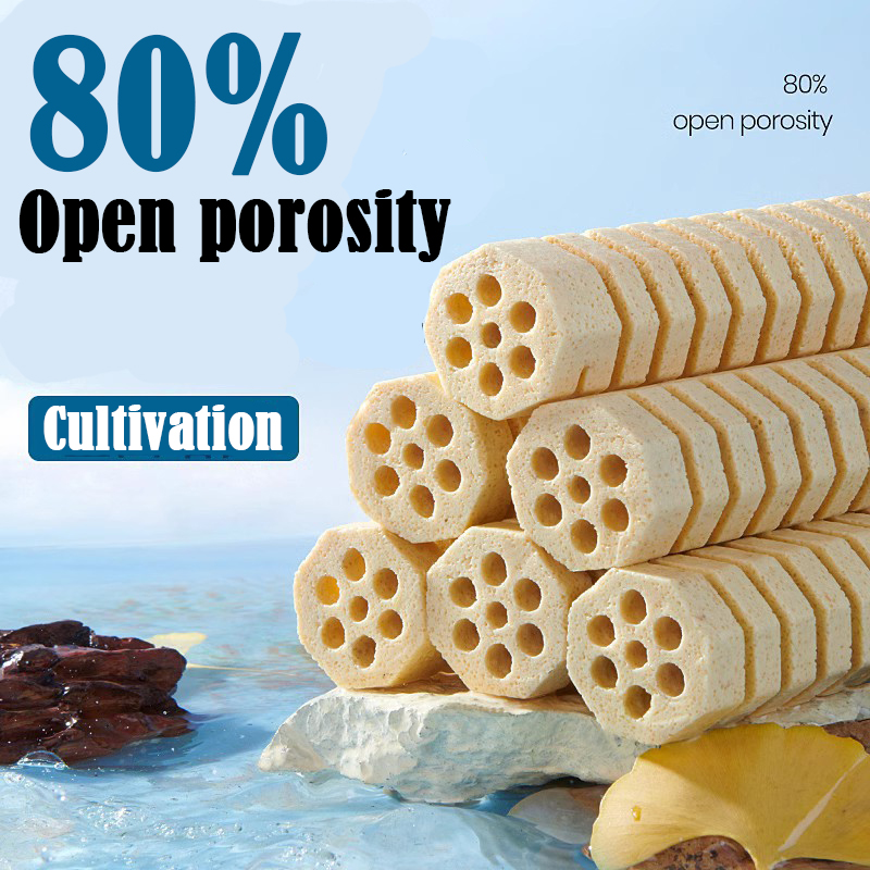 2Pcs/Lot Aquarium Fish Tank Fi - Aquarium Fish Diseases ulasan dan harga