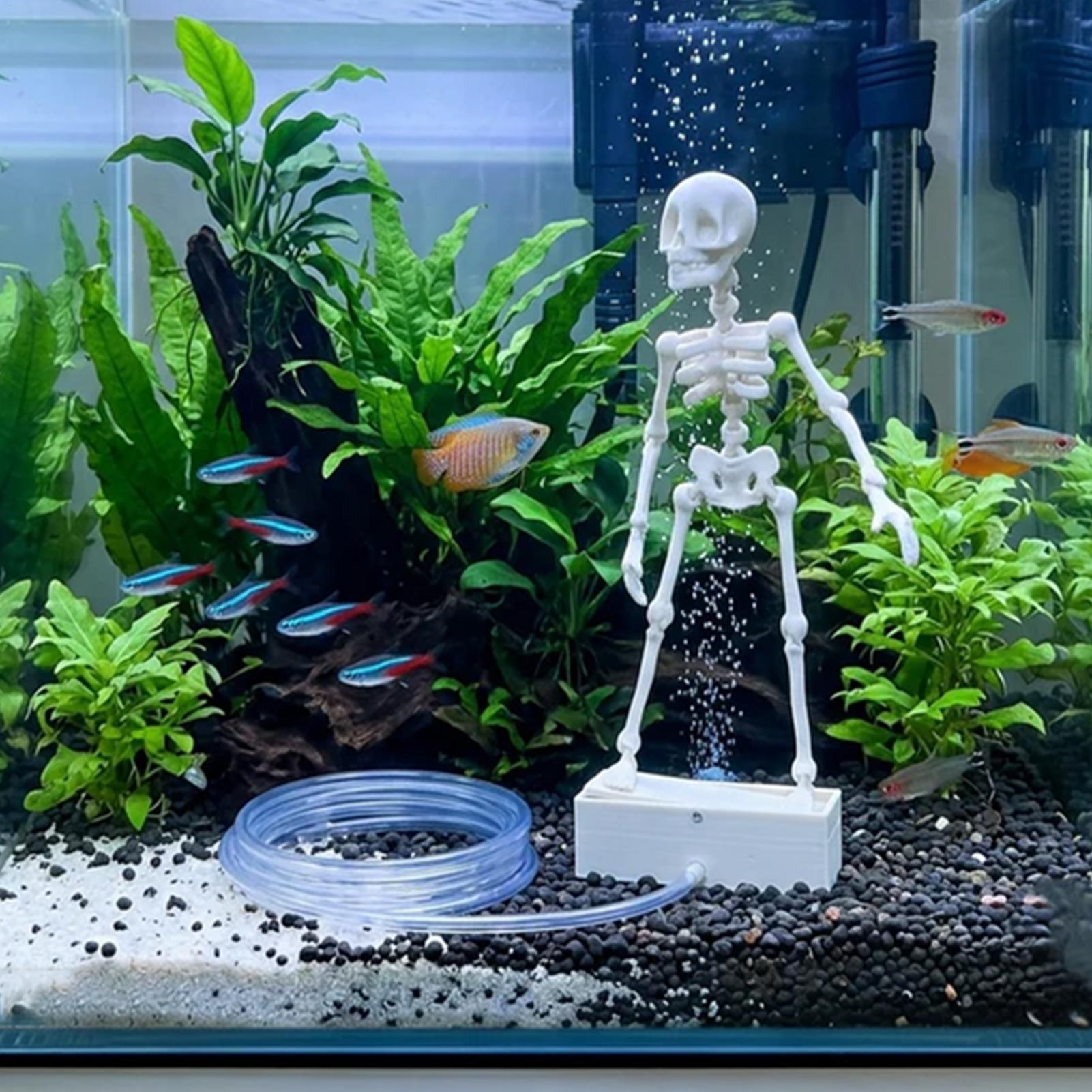 Fish tank dancing skull abstra - Aquarium Fish Diseases ulasan dan harga
