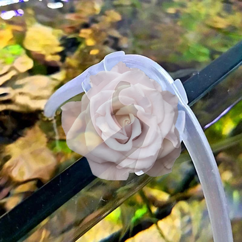 Popular Aquarium Air Tube Hold - Aquarium Fish Popular ulasan dan harga