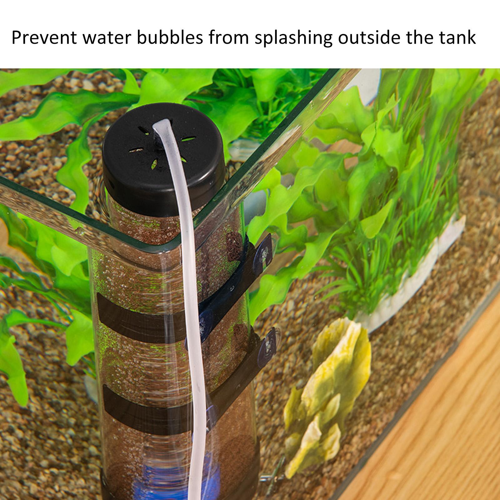 Fish  Hatch Tool Artemia Eggs  - Aquarium Fish Eggs ulasan dan harga