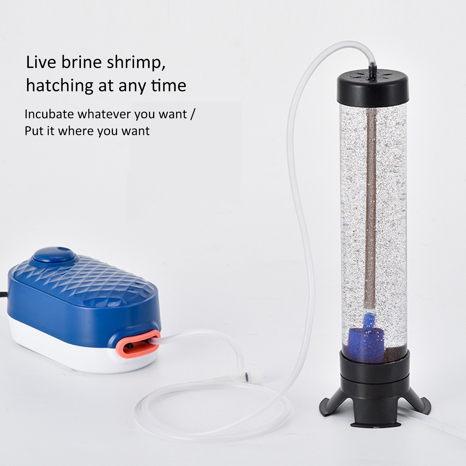 Fish  Hatch Tool Artemia Eggs  - Aquarium Fish Eggs ulasan dan harga