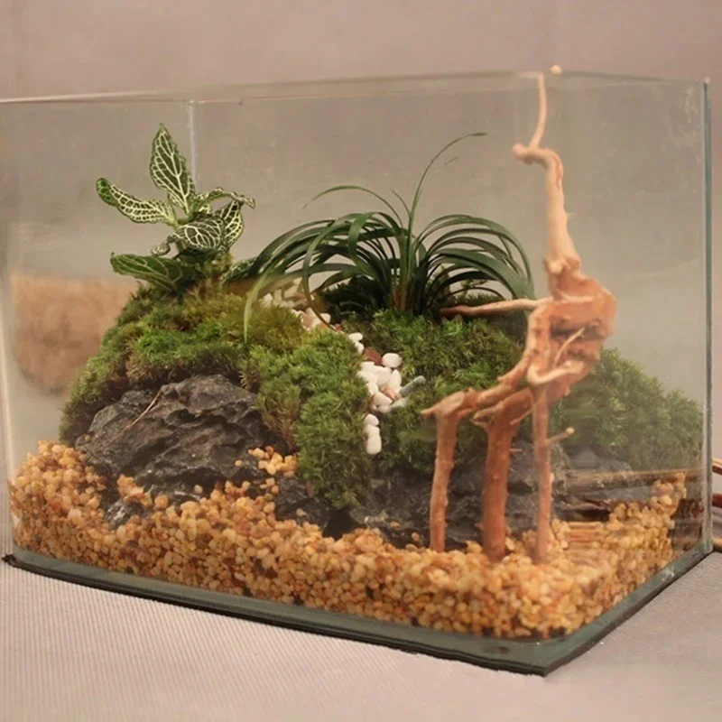 Natural Tree Trunk Driftwood A - Aquarium Fish Cichlid ulasan dan harga