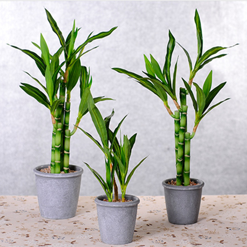 New 40cm rFtificial Lucky Bamb - Aquarium Fish Pot ulasan dan harga