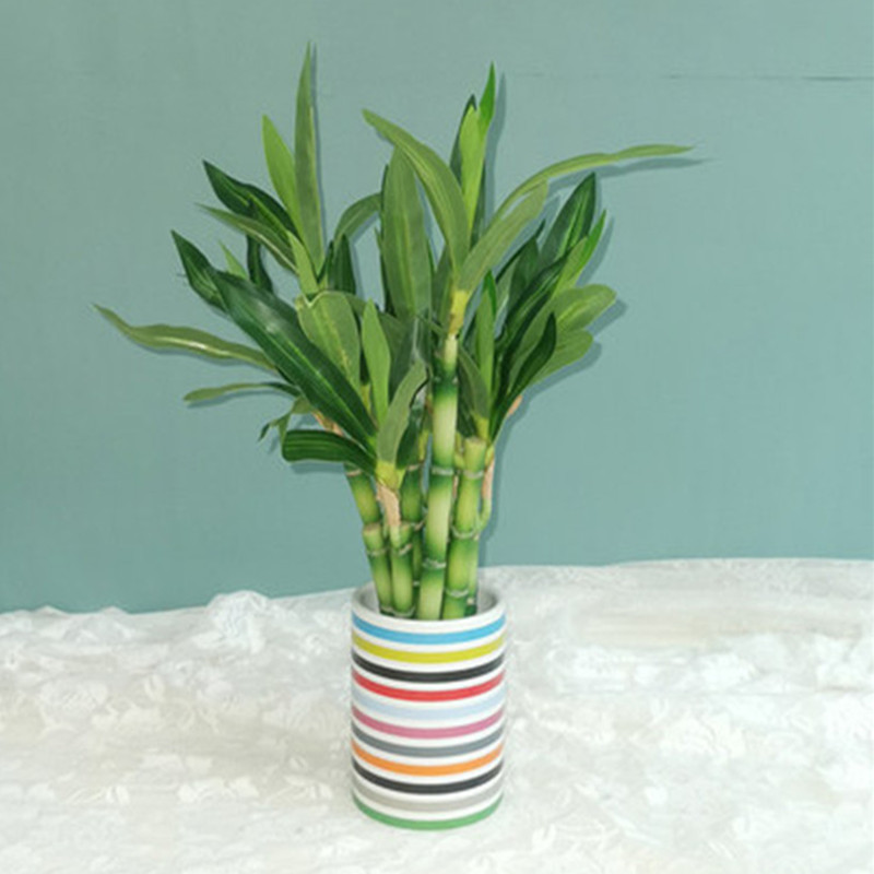 New 40cm rFtificial Lucky Bamb - Aquarium Fish Pot ulasan dan harga