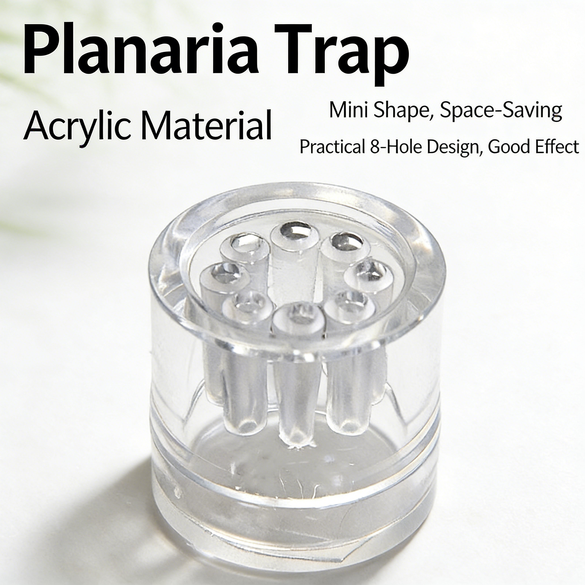 2Pcs Acrylic Planaria Trap 8-H - Aquarium Fish Eggs ulasan dan harga