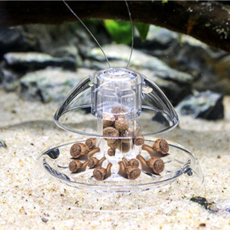 1PCS Fish Tank Aquarium Cleane - Aquarium Fish Eggs ulasan dan harga