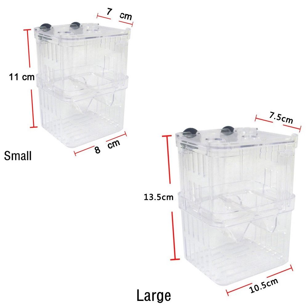 Tank Aquarium For Baby Fishes  - Aquarium Fish Reproduction ulasan dan harga