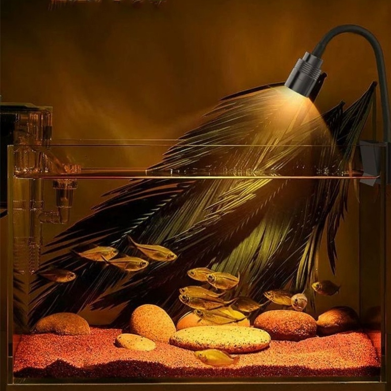 3W South American Aquarium Spo - Aquarium Fish Colorful ulasan dan harga