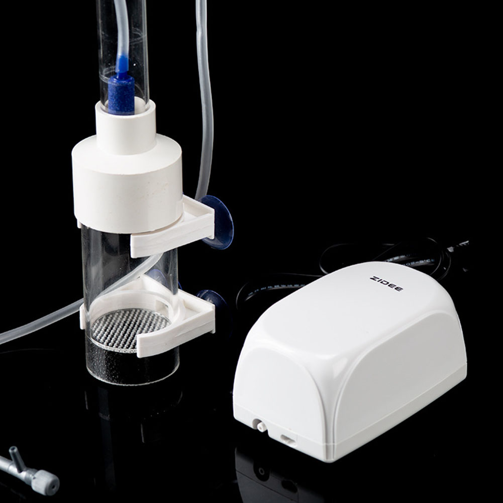 40mm Incubator Fish Hatchery E - Aquarium Fish Cichlid ulasan dan harga