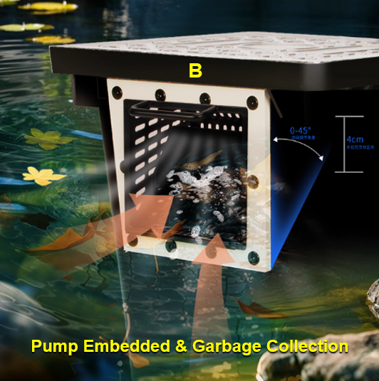 Factory Direct Outdoor Garden  - Aquarium Fish In Pond ulasan dan harga