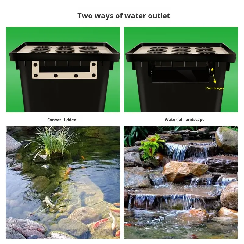 Factory Direct Outdoor Garden  - Aquarium Fish In Pond ulasan dan harga