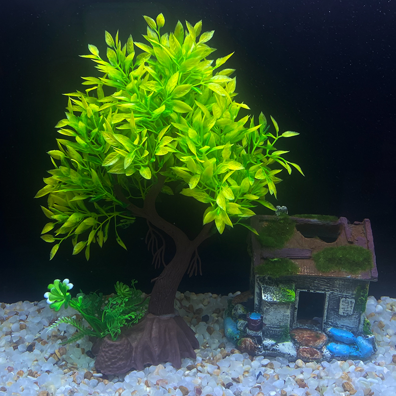 Fish Tank DIY  Artificial Aqua - Aquarium Fish Cichlid ulasan dan harga