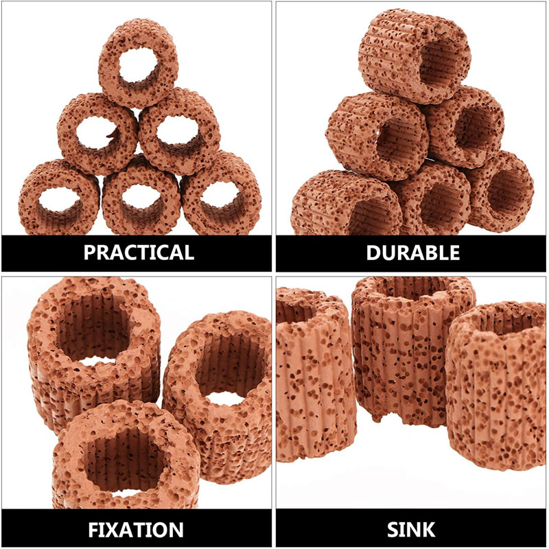 Aquatic Plant Fixed Ring for A - Aquarium Fish Cichlid ulasan dan harga