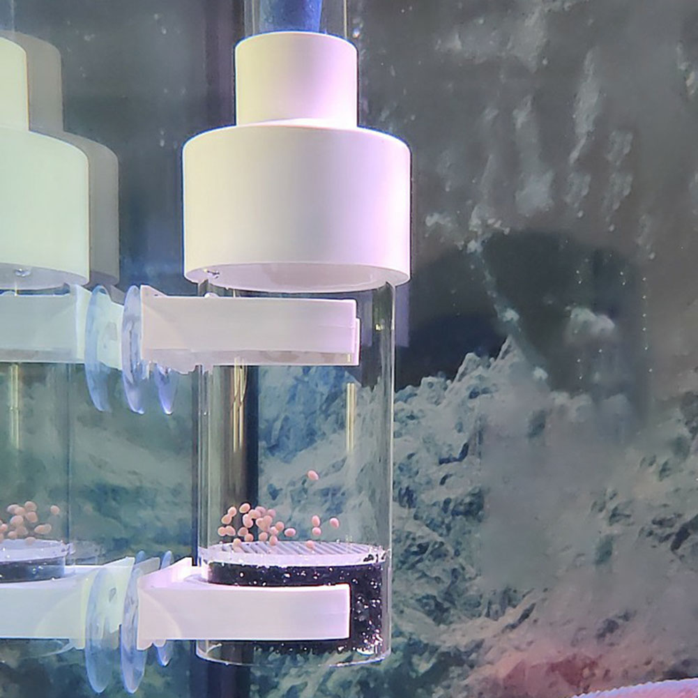 40mm Incubator Fish Incubator  - Aquarium Fish Eggs ulasan dan harga