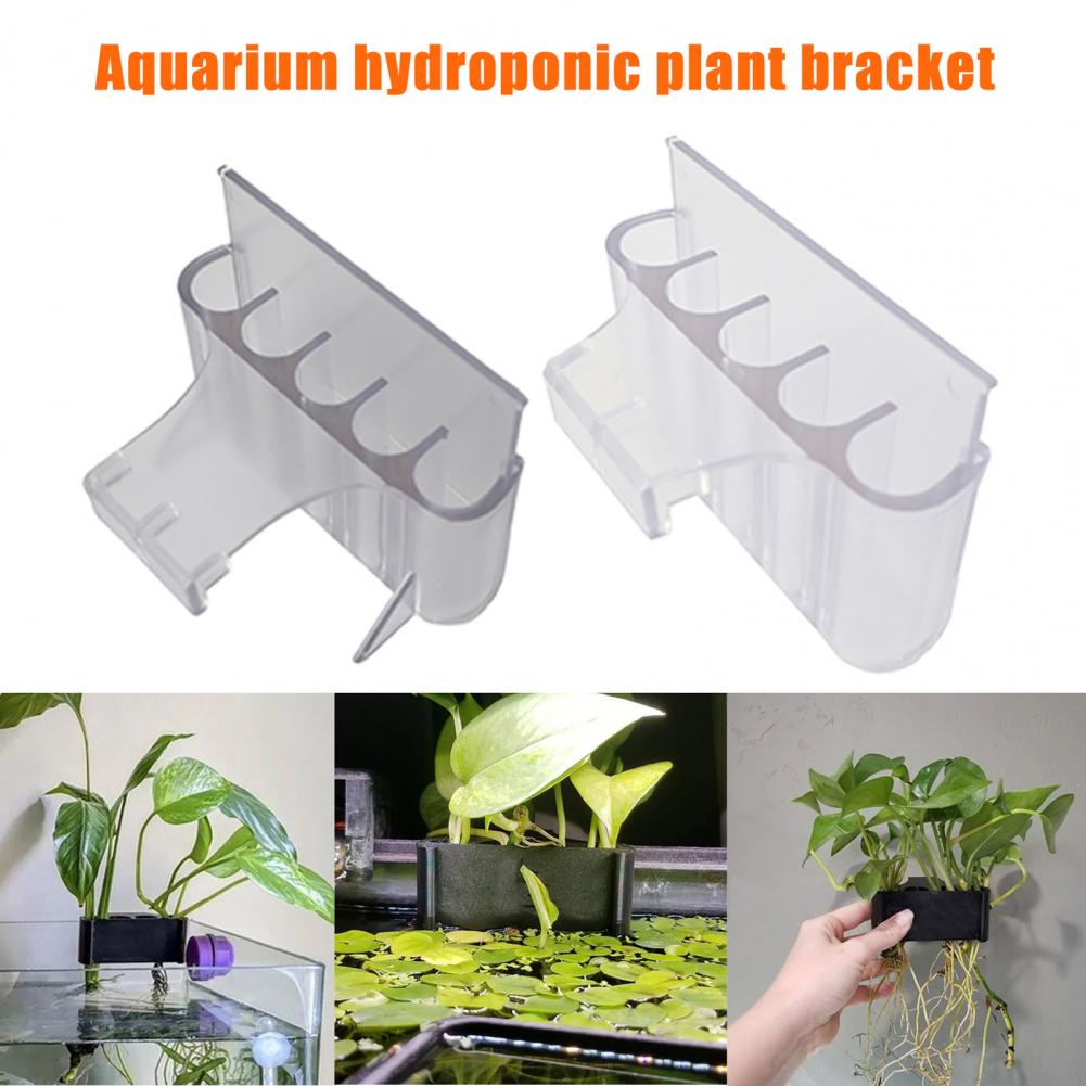 4.5/6.5cm Aquarium Plant Holde - Aquarium Fish Pot ulasan dan harga