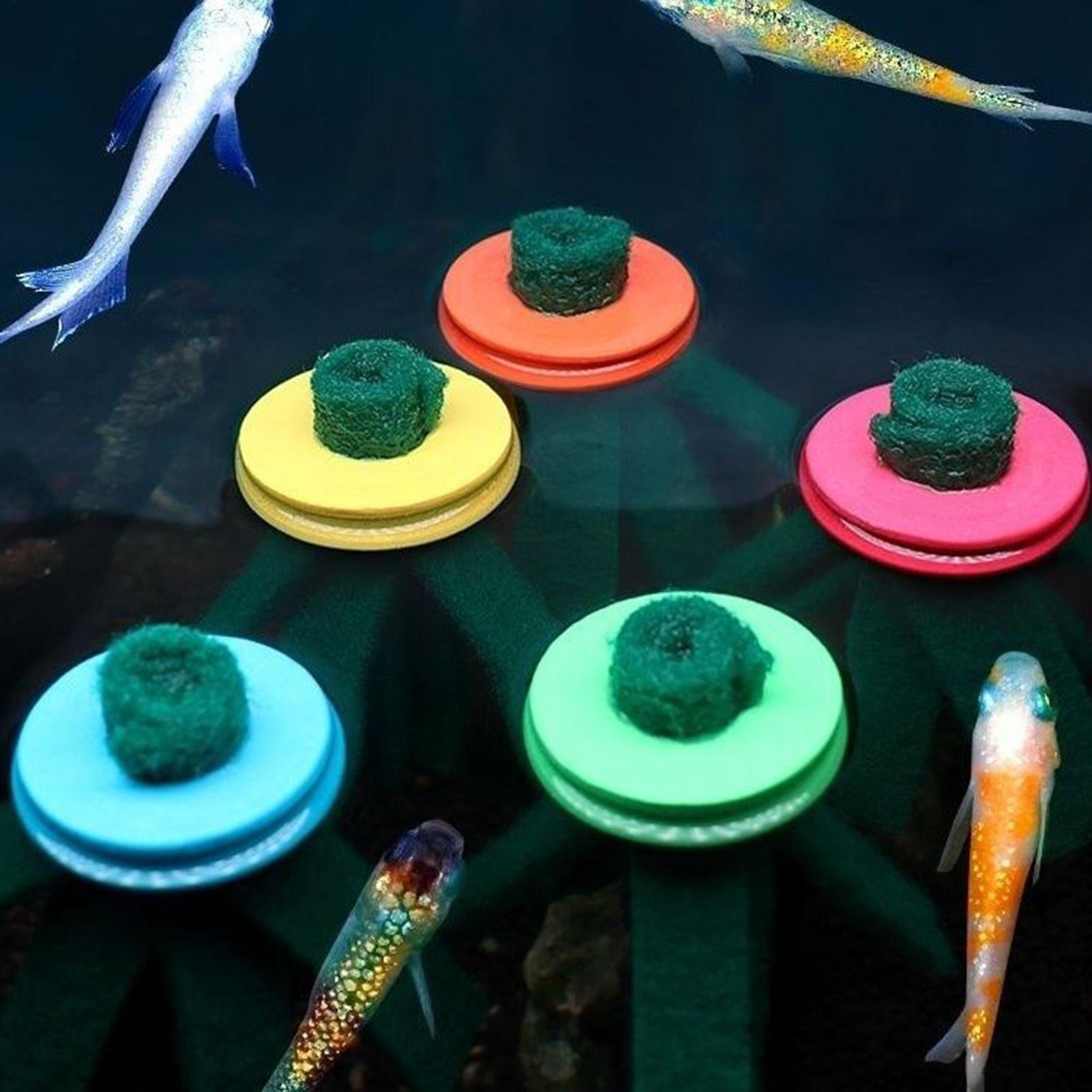 10 Pcs Aquarium Spawning Mop D - Aquarium Fish Eggs ulasan dan harga