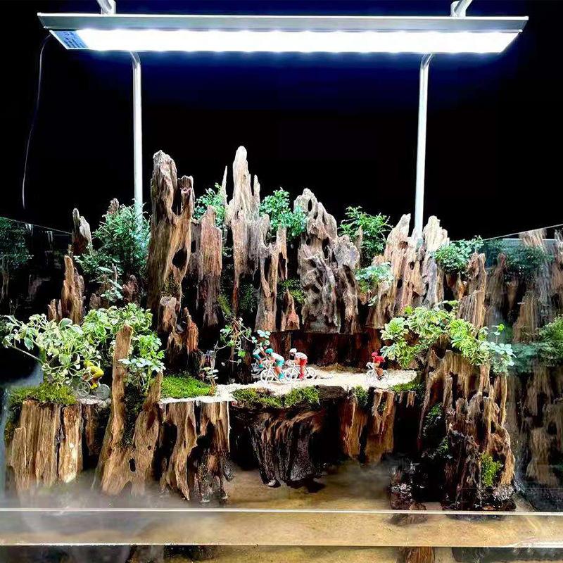 Shrimp Wood Aquarium Decor, Dr - Aquarium Fish Cichlid ulasan dan harga