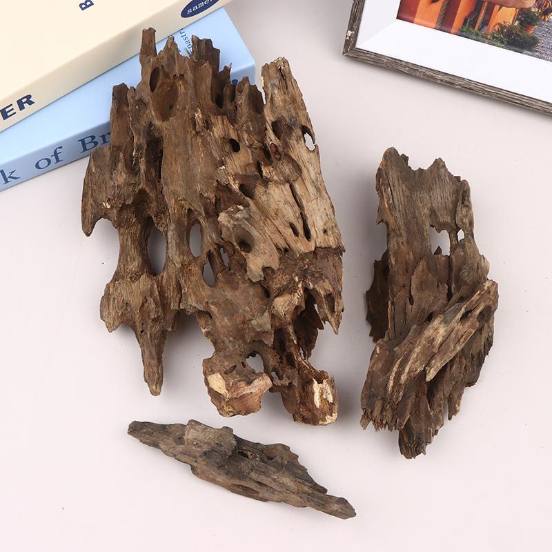 Shrimp Wood Aquarium Decor, Dr - Aquarium Fish Cichlid ulasan dan harga