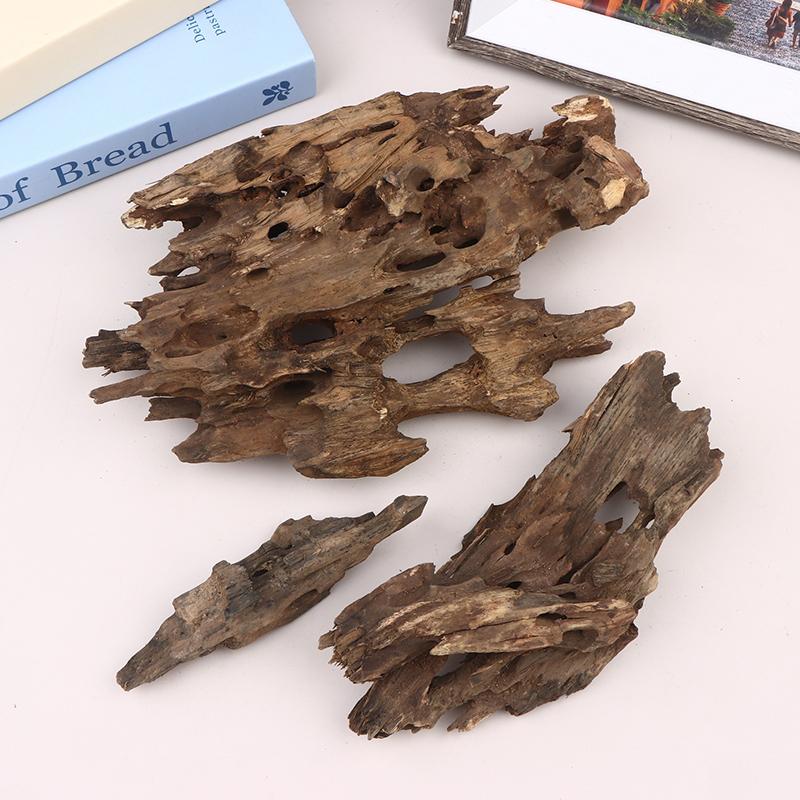 Shrimp Wood Aquarium Decor, Dr - Aquarium Fish Cichlid ulasan dan harga