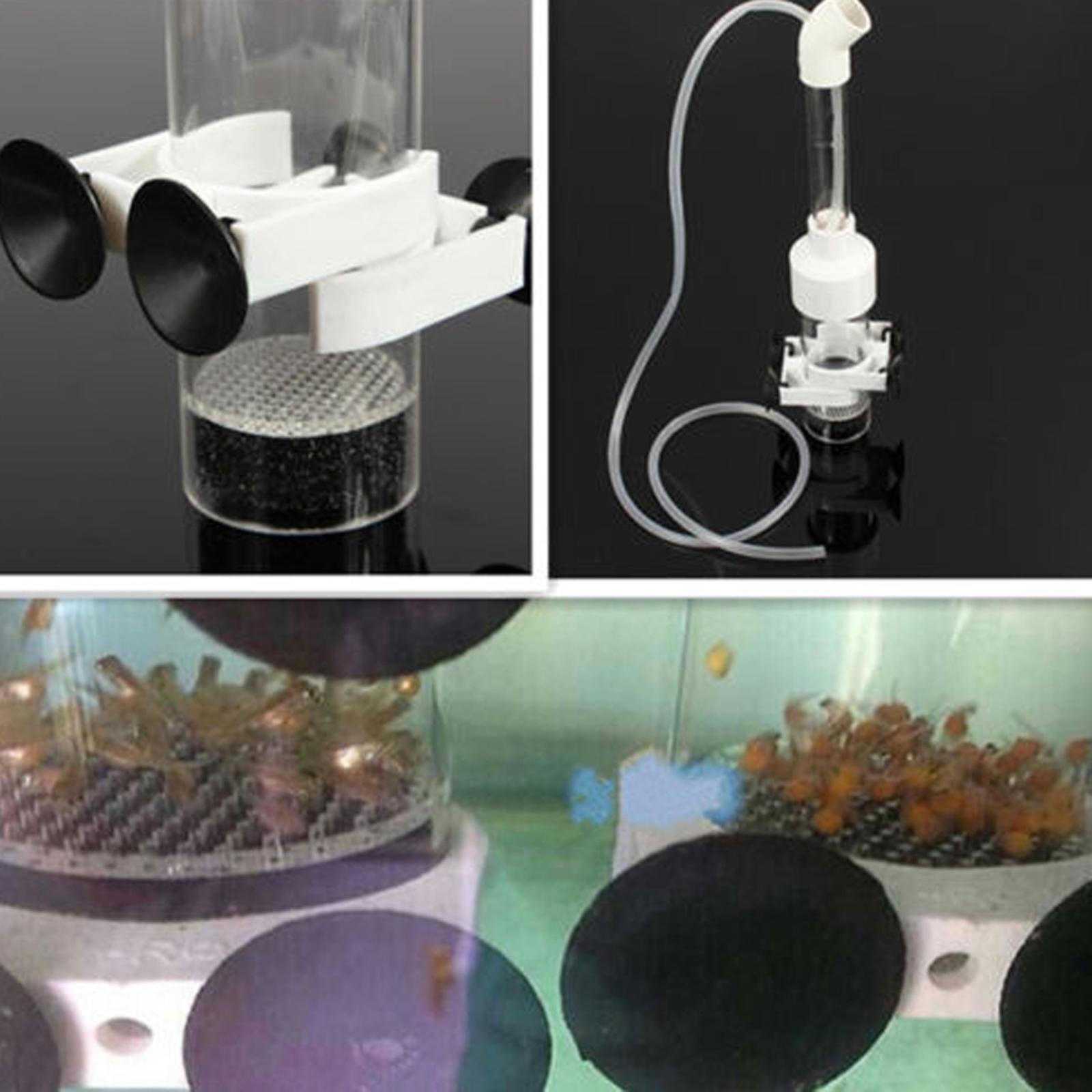 Egg Incubator Fish Acrylic Hat - Aquarium Fish Eggs ulasan dan harga