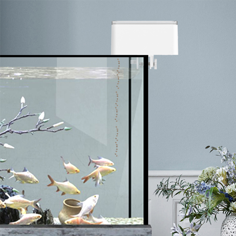 100ML Large Capacity Fish Feed - Aquarium Fish Big ulasan dan harga