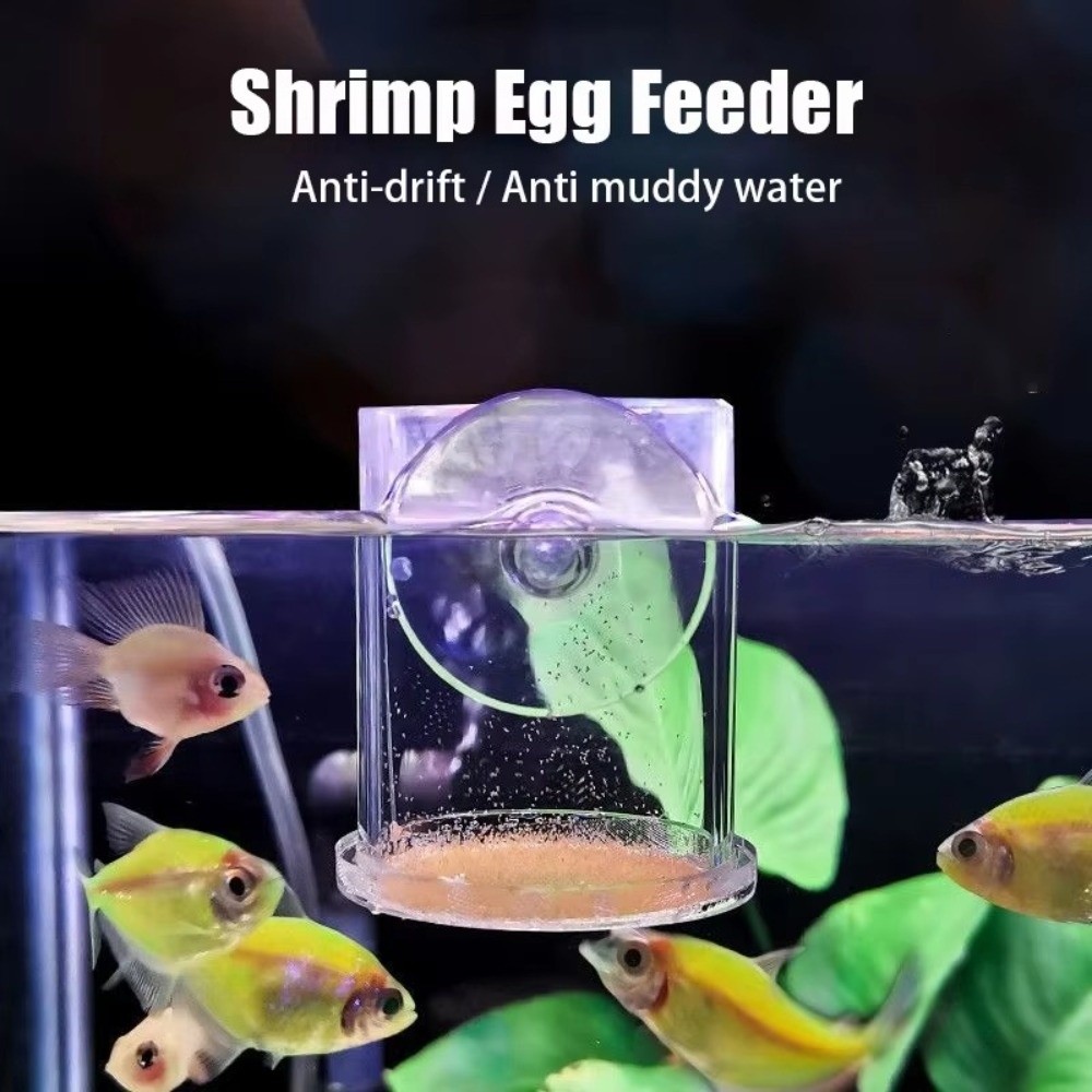 Acrylic Brine Shrimp Feeder Fi - Aquarium Fish Eggs ulasan dan harga