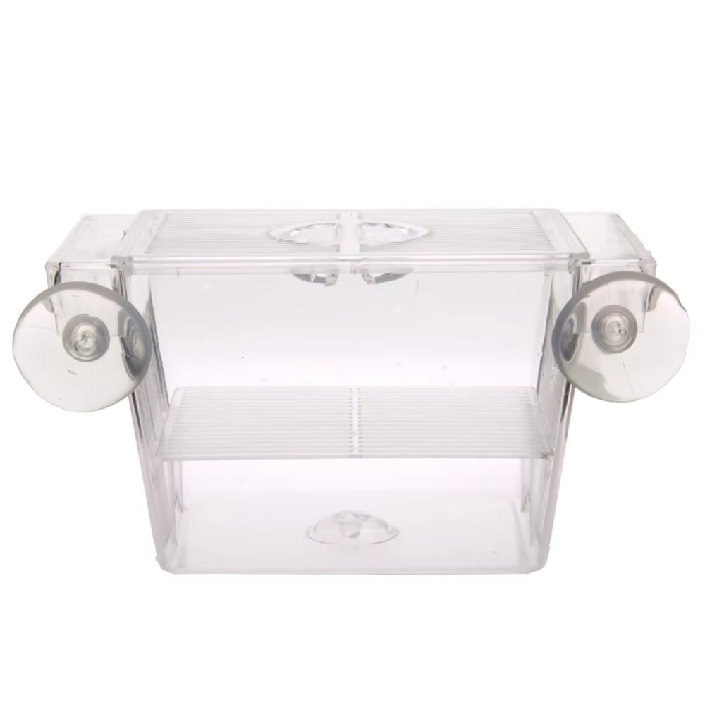 Creative Acrylic Fish Tank Bre - Aquarium Fish Reproduction ulasan dan harga